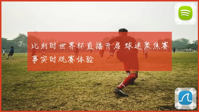 比利时世界杯直播开启 球迷聚焦赛事实时观赛体验